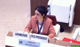 HRC 49: Interactive dialogue with the Special Rapporteur in the field of cultural rights: Delivered by Mrs. Zoya Stepanyan, First Secretary