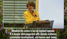 International Day for Biological Diversity Celebrated in Geneva